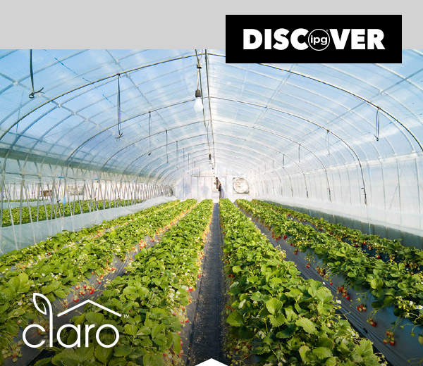 Discover News - Claro Heading