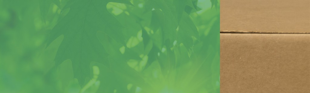 100e Case Study Header